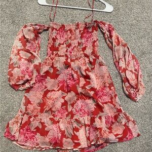 Express Red and Pink Floral Dress